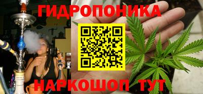 a pvp Будённовск